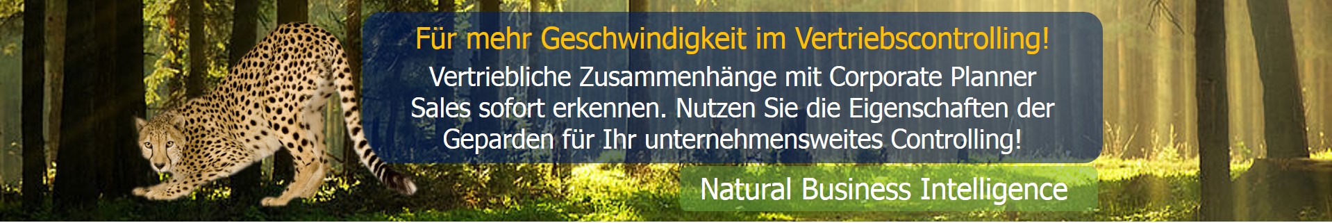 Zurück zu Anwendungsgebiete Controlling Software