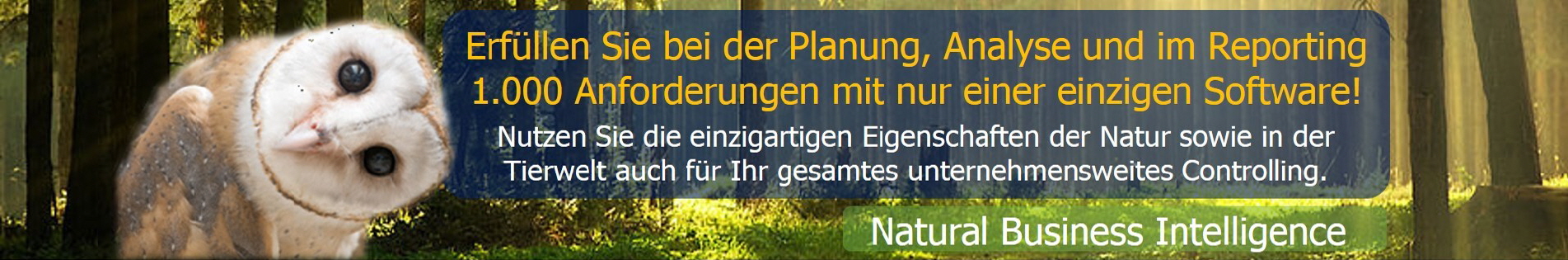 Die Business Intelligence Controlling Software Corporate Planner unterstützt Sie in den Bereichen operatives Controlling, Konsolidierung und Strategie und bietet Ihnen damit alles, was Sie für Ihre erfolgreiche Unternehmenssteuerung benötigen. Eine 1.000`fach erprobte und zertifizierte Controlling Komplettlösung, Passend für alle Unternehmensgrößen und auch Branchen.